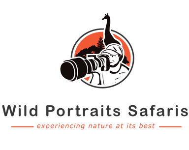 Wild Portraits Safaris Logo