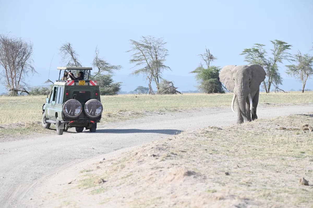 Kenyan Wildlife and Beach Safari Packages from India| Masai Mara and Diani