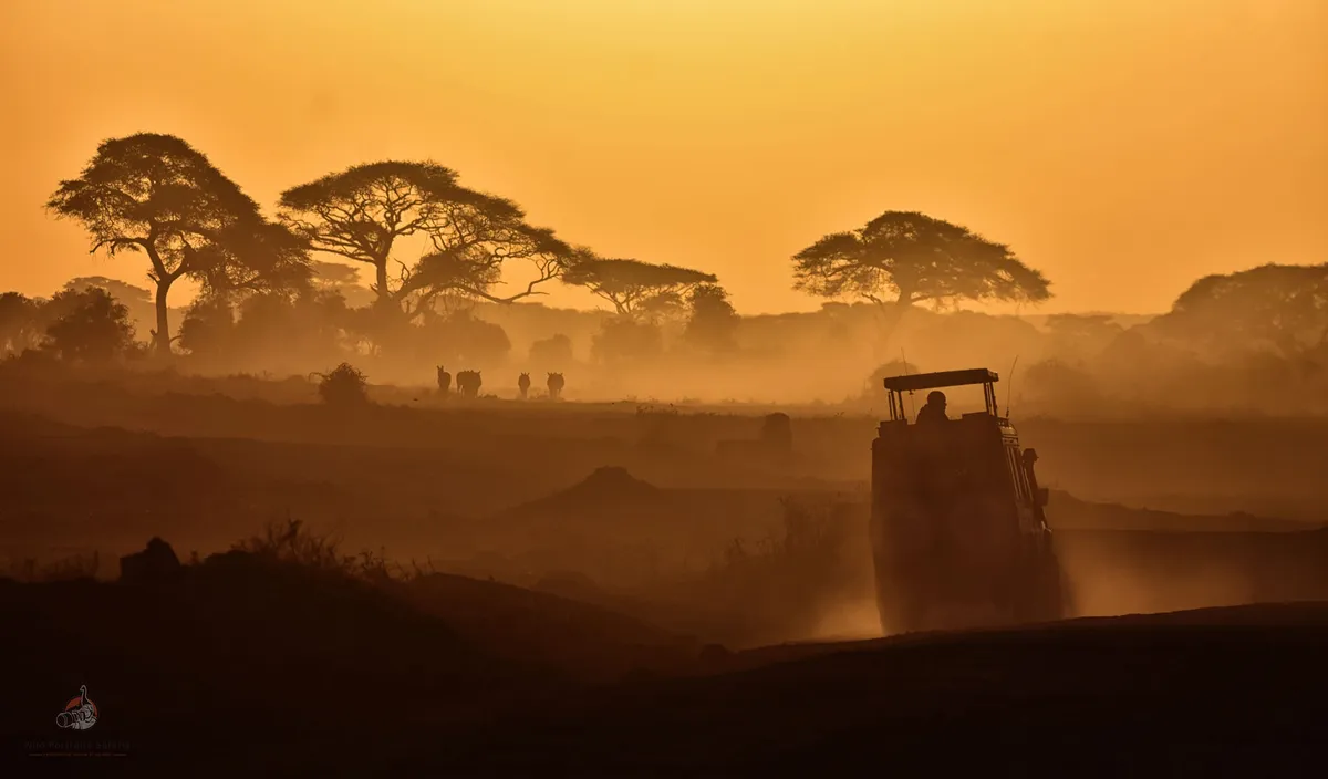 13 Days Enchanting Kenya and Tanzania Safari