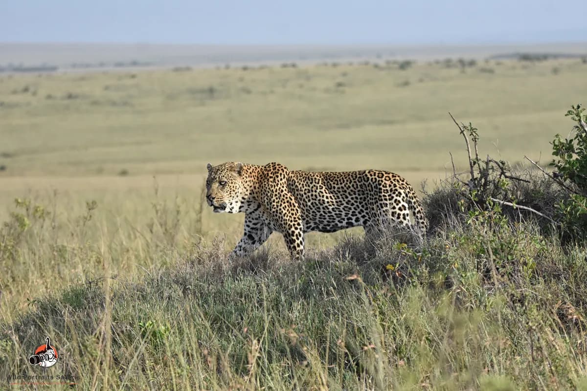 7 Nights / 8 Days Kenya Adventure Safari Package from India