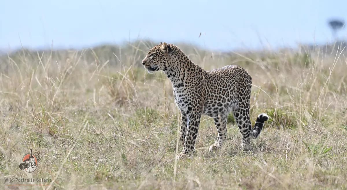 6 Days Kenya Safari Tour from India | Big 5 Adventure
