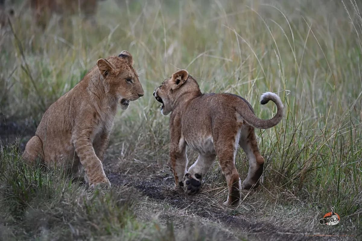 7 Days Kenyan Romantic Getaway Package