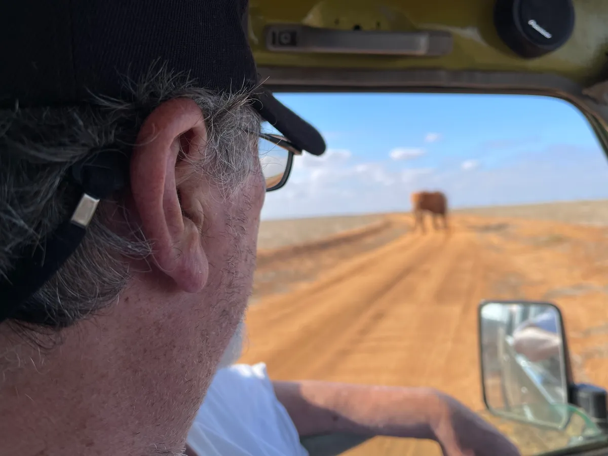 4 Days Kenya Safari Meru Park